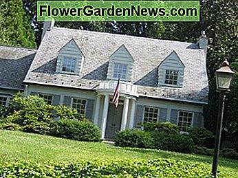 หน้าต่าง Dormer สามตัว Three Dormer Windows