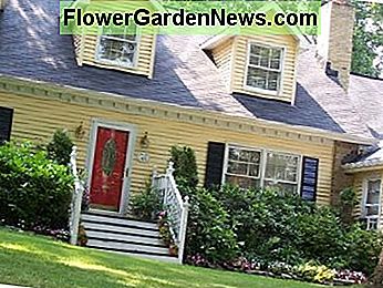 ผนังสีเหลืองและประตูทางเข้าสีแดง 1 1/2 เรื่อง Yellow Siding and a Red Entrance Door 1 1/2 Stories