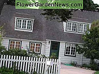 มีรั้วไม้สีขาว With White Picket Fence