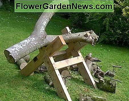 Pjūklo žirgas padeda sustabdyti medžio galūnių judėjimą aplink vietą A saw horse helps to stop tree limbs from moving around the place