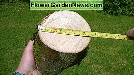 Lengvai iškirpti rąstus 5 colių skersmens ar didesni It's easy to cut logs 5 inches in diameter or greater