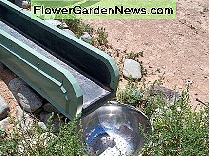 Lietaus vandens surinkimas. Čia pamatytoji dubenėlė yra sietas, vedantis į purvo filtro vamzdį, kuris nusileidžia į palaidotą cisterną. Visi Rainwater Capture - The bowl you see here is a sieve leading to a silt filter pipe that descends to a buried cistern. All Earthship roofs are curved to direct rainwater toward the sieves and their cisterns.