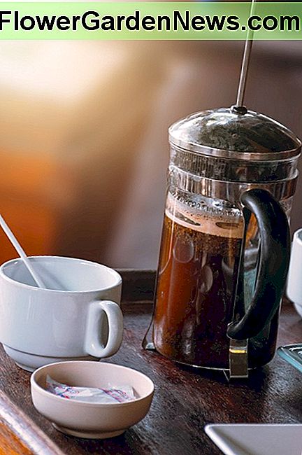 Maak een eenvoudige koffiebar met een Franse pers, wat gourmet koffie, suiker, witmaker en een waterkoker. Make a simple coffee bar with a french press, some gourmet coffee, sugar, whitener and an electric kettle.