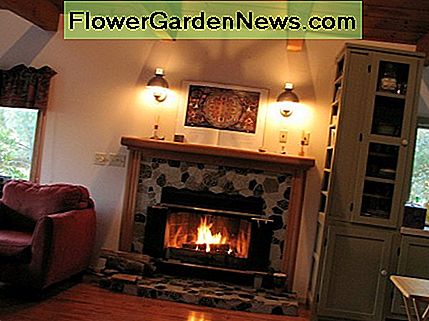 Medienos deginimo ir dujomis varomos židiniai yra bendras anglies monoksido šaltinis. Wood-burning and gas powered fireplaces are a common source of carbon monoxide.