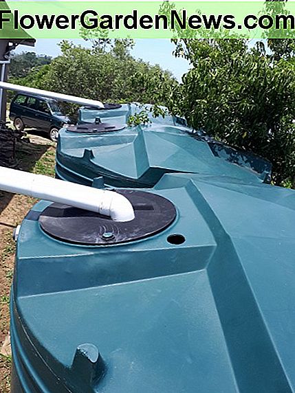 Wassertanks zur Ernte von Dachwasser. Water tanks set up to harvest roof-water.