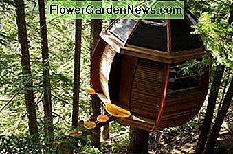 Joel Allens HemLoft, British Columbia, Canada. Joel Allen's HemLoft, British Columbia, Canada.