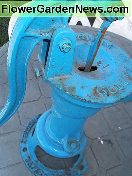 En håndbetjent pumpe giver dig mulighed for at hente vand fra en brønd uden brug af strøm. Hvad en perle! A hand operated pump allows you to retrieve water from a well without needing power. What a gem!