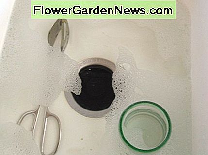 ¿Por qué tirar el agua de enjuague cuando aún está buena? Úselo para lavar pisos o electrodomésticos. Why throw away rinse water when it's still good? Use it to wash floors or appliances.