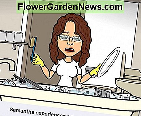 Indų plovimo mašina turėtų būti jūsų turtingųjų sąraše, jei jūs ir jūsų šeima yra tingus su indais. A dishwasher should be on your list of must-haves if you and your family are lazy with the dishes.