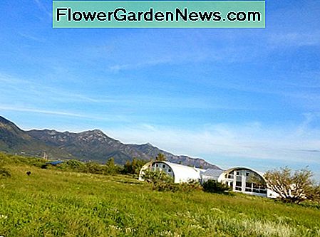 Double Quonset Home i Arizona Double Quonset Home in Arizona