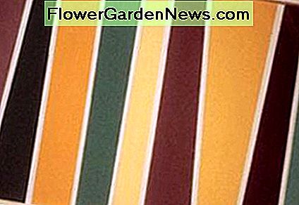 Erdfarben-Anzug Handwerker-Bungalows. Earth tone colors suit Craftsman bungalows.