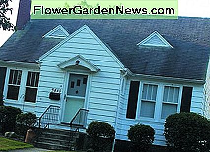Symmetrischer Cape Cod Bungalow. Symmetrical Cape Cod bungalow.