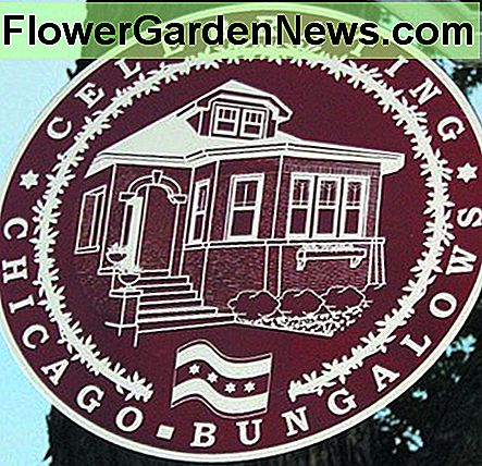 Der rote Backsteinbungalow ist ein Symbol von Chicago. The red brick bungalow is a symbol of Chicago.
