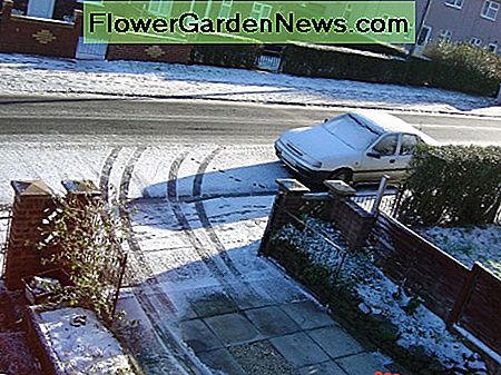 Blick auf unsere erste Einfahrt, nachdem ich sie mit Schwerlastbetonplatten verlegt hatte, plus die originalen Vorgartentore, die entfernt werden mussten, als ich die zweite Auffahrt hinzufügte. View of our first driveway after I had laid it with heavy duty concrete drive slabs, plus the original front garden gates which had to be removed when I added the second driveway.