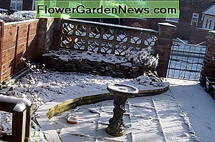 Blick auf den gepflasterten Bereich der Terrasse, der in eine Kiesstraße umgewandelt werden würde, nachdem mein Sohn sein erstes Auto gekauft hatte, nachdem er seine Fahrprüfung bestanden hatte. View of the patio slab paved area that would be transformed into a gravel drive after my son bought his first car on passing his driving test.