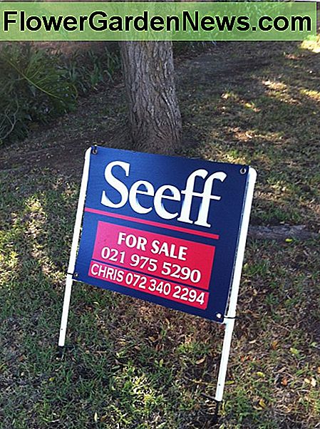 Makelaars moeten mensen alleen op afspraak toegang geven tot huizen en moeten potentiële kopers screenen. Estate agents should allow people into show houses by appointment only and should screen potential buyers.