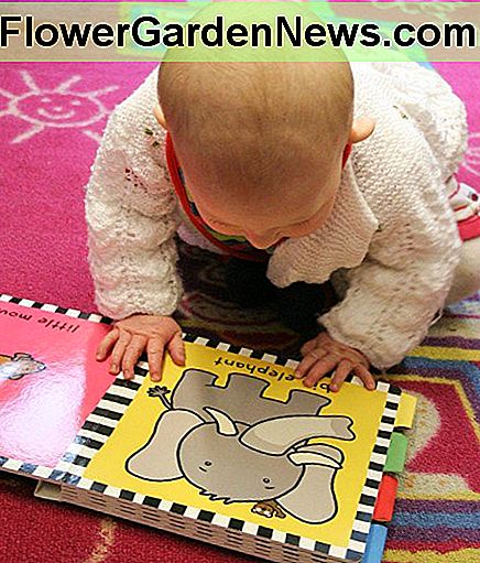 Natürliche Schädlingsbekämpfung ist besser als chemische Schädlingsbekämpfung, wenn neugierige Kleinkinder zu Hause sind. Natural pest control is better than chemical pest control when there are curious toddlers in the home.