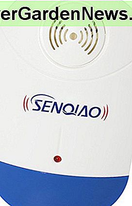 SENQIAO Natürliche harmlose Schädlingsbekämpfung Ultraschall-Abwehrmittel - Wanzen, Schabe, Moskito, Ameise, Spinne, Maus und mehr für Home Indoor abwehrt (4 pack) (4)