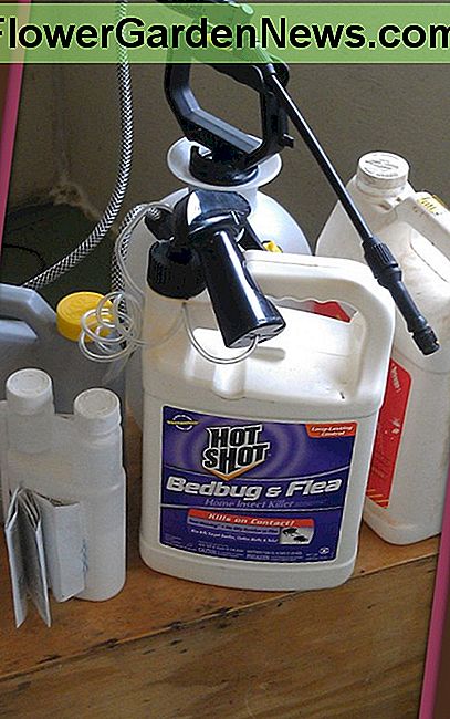 Es gibt viele Bettwanzensprays auf dem Markt. Es ist unerlässlich, weise zu wählen. There are many bed bug sprays on the market. It is imperative to choose wisely.