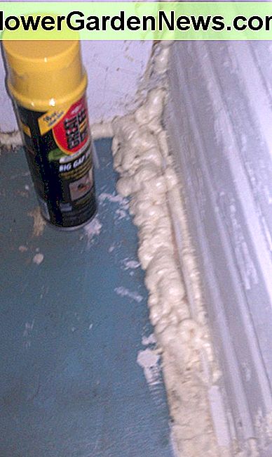 Expandierender Sprayschaum © 2012 durch Bedbugabscond Expanding Spray Foam © 2012 by Bedbugabscond