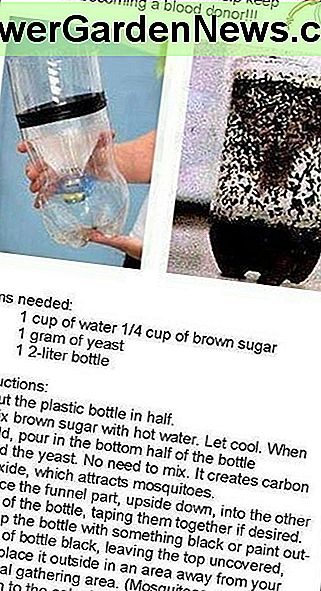 Einfache DIY Mückenfalle aus einer Plastikflasche. Verwenden Sie es gemäß den Anweisungen auf dem Foto, und es wird perfekt funktionieren. Simple DIY mosquito trap made out of a plastic bottle. Use it according to the instructions in the photo, and it will work perfect.