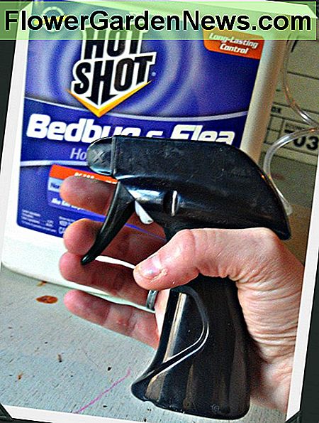 Der Sprühgriff, der mit Hot Shot Bed Bug und Flea Spray geliefert wird The spray handle that comes with Hot Shot Bed Bug and Flea Spray