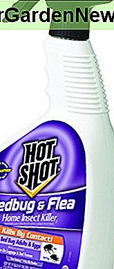 Hot Shot Wanze & Flea Home Insect Killer (gebrauchsfertig), 32-oz
