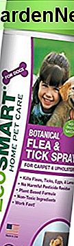 EcoSMART Bio-Teppich und Polster Floh-und Zecken-Killer, Pet Pet Safe Insektizid, 15 oz Aerosol-Spray-Dose