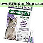 Bayer Advantage II für große Katzen über 9 lbs, 6 Pack