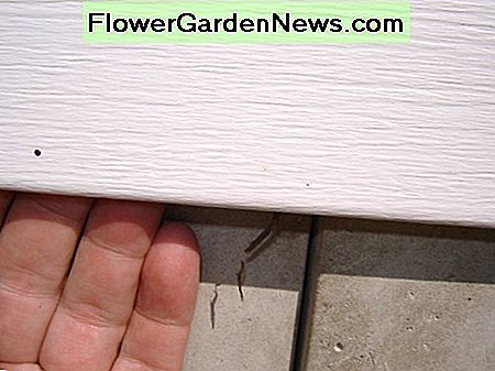 Als het opruimen los genoeg is, kunnen muizen hier hun weg vinden. If the siding is loose enough, mice can find their way in through here.
