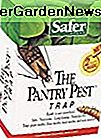 Safer Brand 05140 The Pantry Pest Trap, 2 Moth Traps