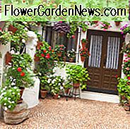 Mediterrane Gartenstile, mediterraner Stil, mediterrane Pflanzen, mediterrane Zwiebeln, mediterrane Gartenpflanzen, mediterrane Gartengestaltung, mediterrane Landschaftsgestaltung