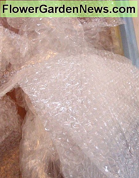 Gemeinsame Verpackung Luftpolsterfolie. Common packaging bubble wrap.