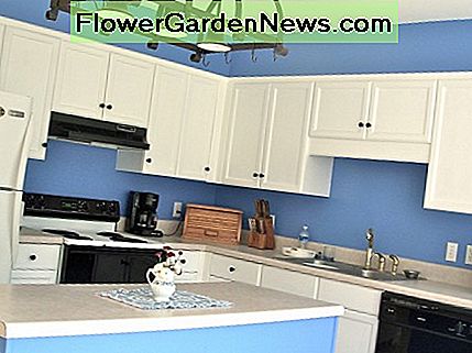 Schränke weiß lackiert, Backsplash und Gesims über Schränke blau. Motorhaube neu lackiert glänzend schwarz. Cabinets painted white, backsplash and cornice over cabinets blue.Stove hood repainted glossy black.