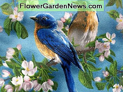 Nahaufnahme des Vogeldruckgewebes. Close-up of bird print fabric.
