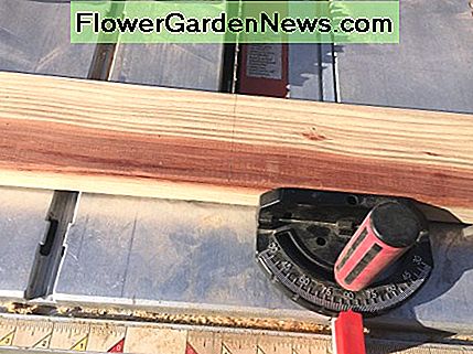 Mit einem Tischsäge-Gehrungsmesser einen geraden 90-Grad-Schnitt machen. Using a table saw miter gauge to make a straight 90 degree cut.
