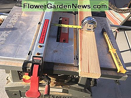 Einrichten eines Zauns auf der Tischsäge für eine Breite von knapp über 2 Zoll. Setting up a fence on the table saw for a width of just over 2 inches.