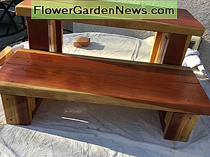 Vorderansicht der neuen Schritte. Das Gesicht jedes Risers ist ein einzelnes Brett mit bester Vorderseite. New steps front view. Face of each riser is a single board with best face forward.