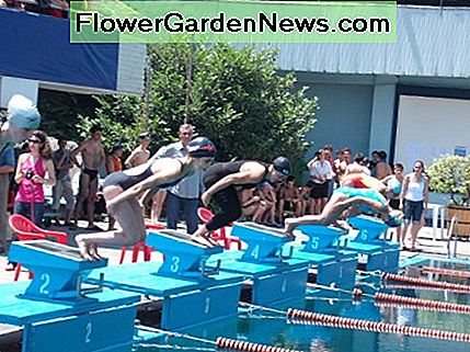 Salzwasserpools werden von professionellen Schwimmern höher bewertet als Chlorpools. Salt water pools are rated higher than chlorine pool by professional swimmers.