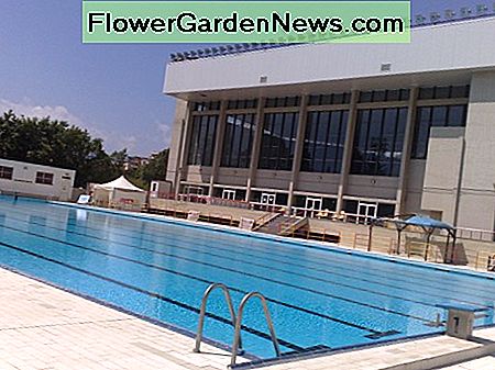 Išvalytas baseinas bus mėlynos spalvos; o kliringo baseinas vanduo bus šviesiai žalia ar debesuota balta. A cleared swimming pool will be blue in color; while a clearing pool water will be light green or cloudy white.