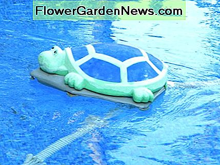 Die Polaris Turbo Turtle macht, was sie am besten kann, und hält Ihren Pool sauber, während Sie sich entspannen. The Polaris Turbo Turtle doing what it does best, keeping your pool clean while you relax.