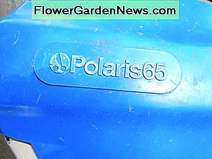 Die Polaris The Polaris
