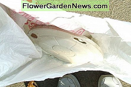 Legen Sie die Abdeckung des Skimmers in eine Plastiktüte und wickeln Sie sie fest, damit das Wasser während der Nebensaison nicht in den Skimmer gelangt. Place the skimmer cover in a plastic bag and wrap it tight to keep water out of skimmer during the off season.
