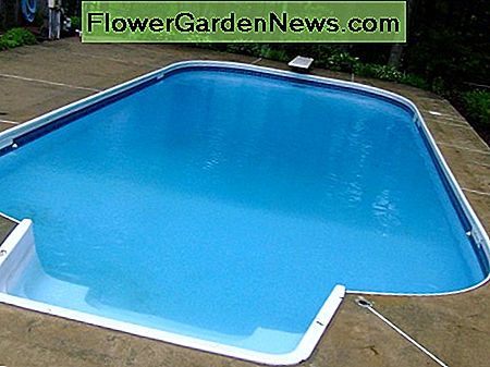 Das Poolwasser ist wieder sauber The pool water is clean once more
