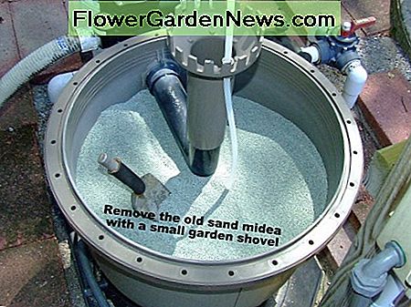 Entferne den alten Sand mit einer kleinen Gartenschaufel. Remove the old sand with a small garden shovel.