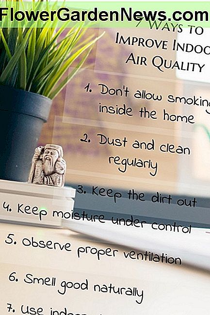 7 sätt att förbättra luftkvaliteten inomhus