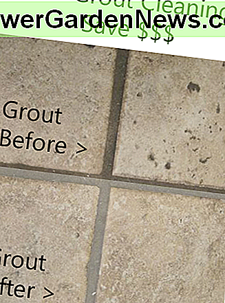 technique for cleaning grout yourself - easy and inexpensive. 