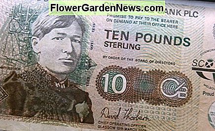 £10 note (Clydesdale Bank)