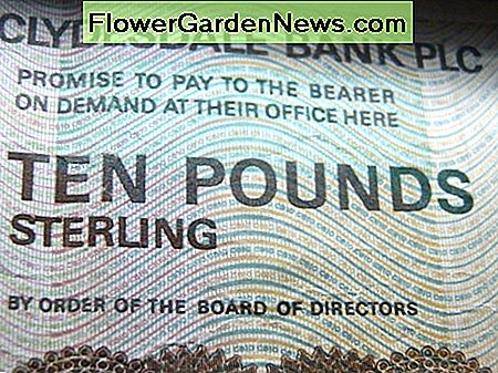 promise to pay the bearer in pounds sterling