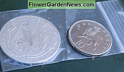 half crown on left, new 10 pence piece on right 